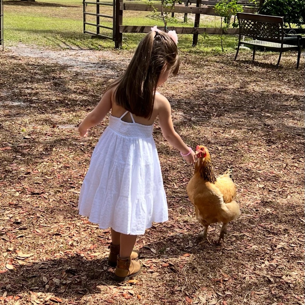 BEAUTIFUL Joie White Eyelet Spaghetti Strap Dress | Girls 5T - Picture 6 of 8